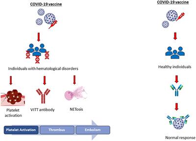 People having hematological disorders and hypercoagulability state need extra precautions because of the increased risk of thrombosis after COVID-19 vaccination